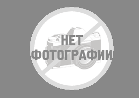 Дом в хорошем состоянии